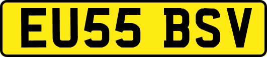 EU55BSV