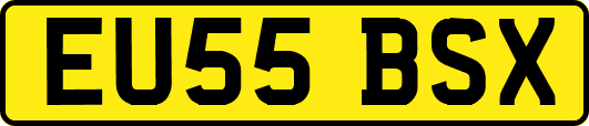 EU55BSX