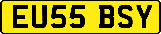 EU55BSY