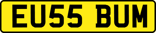 EU55BUM