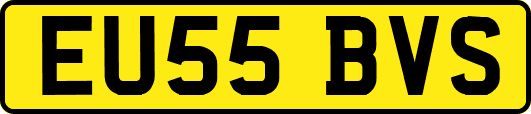 EU55BVS