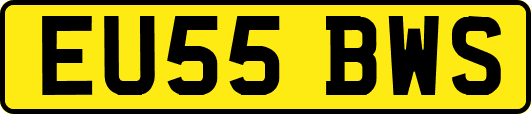 EU55BWS