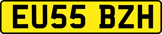 EU55BZH