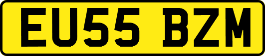 EU55BZM