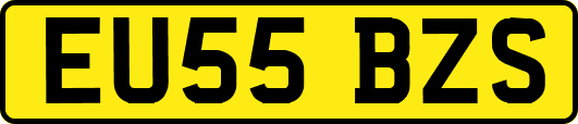 EU55BZS