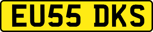 EU55DKS