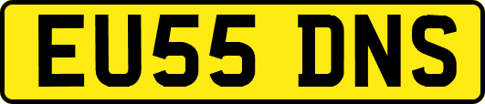 EU55DNS