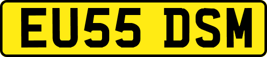 EU55DSM