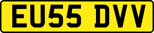 EU55DVV
