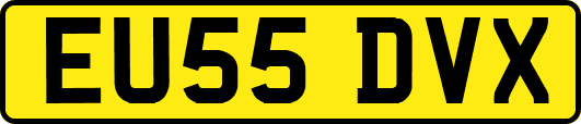 EU55DVX