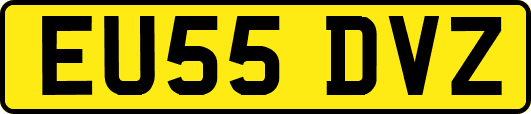 EU55DVZ