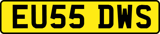 EU55DWS