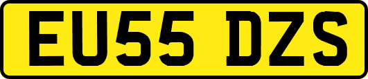 EU55DZS
