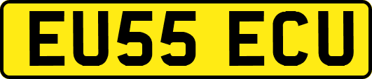 EU55ECU