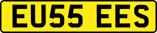 EU55EES