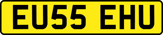 EU55EHU