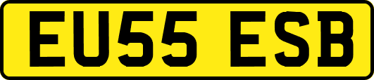 EU55ESB