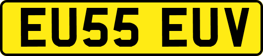 EU55EUV