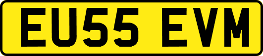 EU55EVM