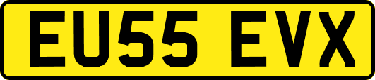 EU55EVX