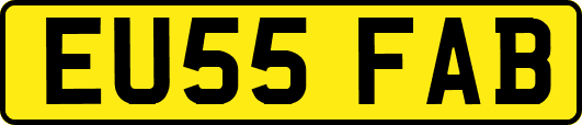 EU55FAB