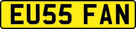 EU55FAN