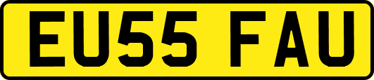 EU55FAU