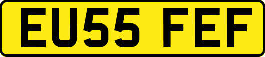 EU55FEF