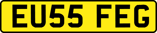 EU55FEG