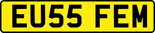 EU55FEM