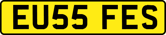 EU55FES