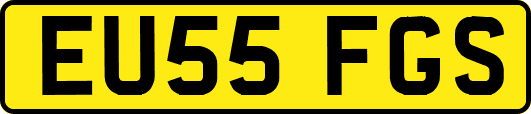 EU55FGS