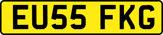 EU55FKG