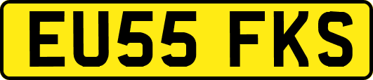 EU55FKS
