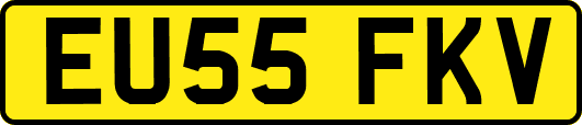 EU55FKV
