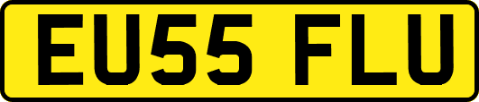 EU55FLU