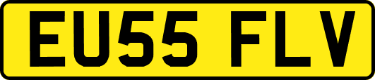 EU55FLV