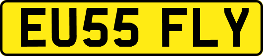 EU55FLY