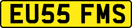 EU55FMS