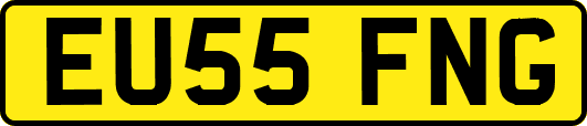 EU55FNG