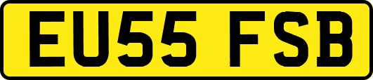 EU55FSB
