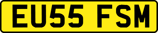 EU55FSM