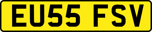 EU55FSV