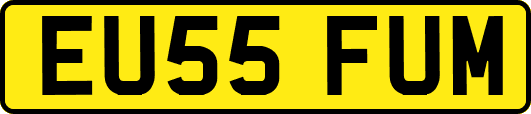 EU55FUM