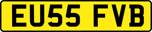 EU55FVB
