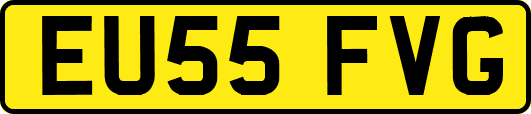 EU55FVG
