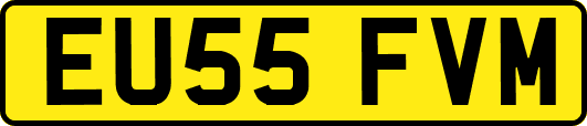 EU55FVM