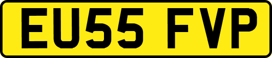 EU55FVP