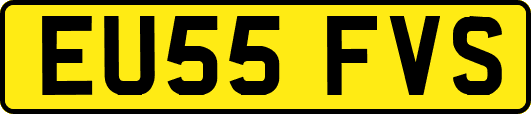 EU55FVS