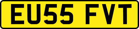 EU55FVT